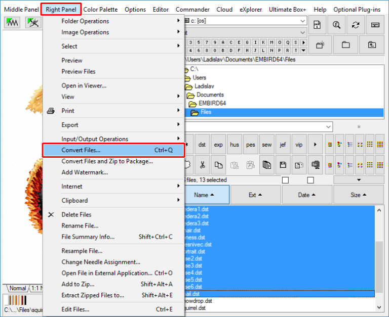 Embroidery Files Conversion Tutorial Embird UK